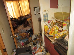 IMG_4519