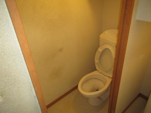 IMG_4562