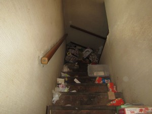 IMG_4743