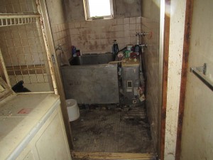 IMG_5441