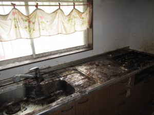 IMG_5827