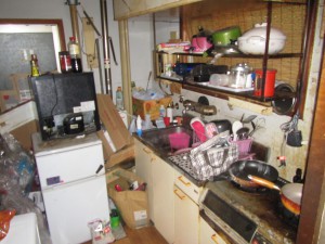 img_6731