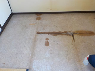 床の体液反応と、床材撤去後の床下梁材への体液反応