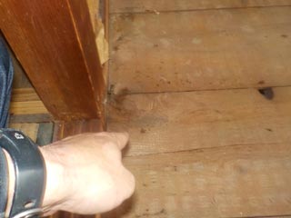 畳撤去後に体液が床に浸透している個所