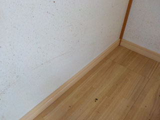 ゴキブリの糞が付着した壁の清掃
