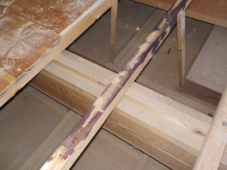 床材の側面と、隙間から横木に染み出した体液の汚染個所