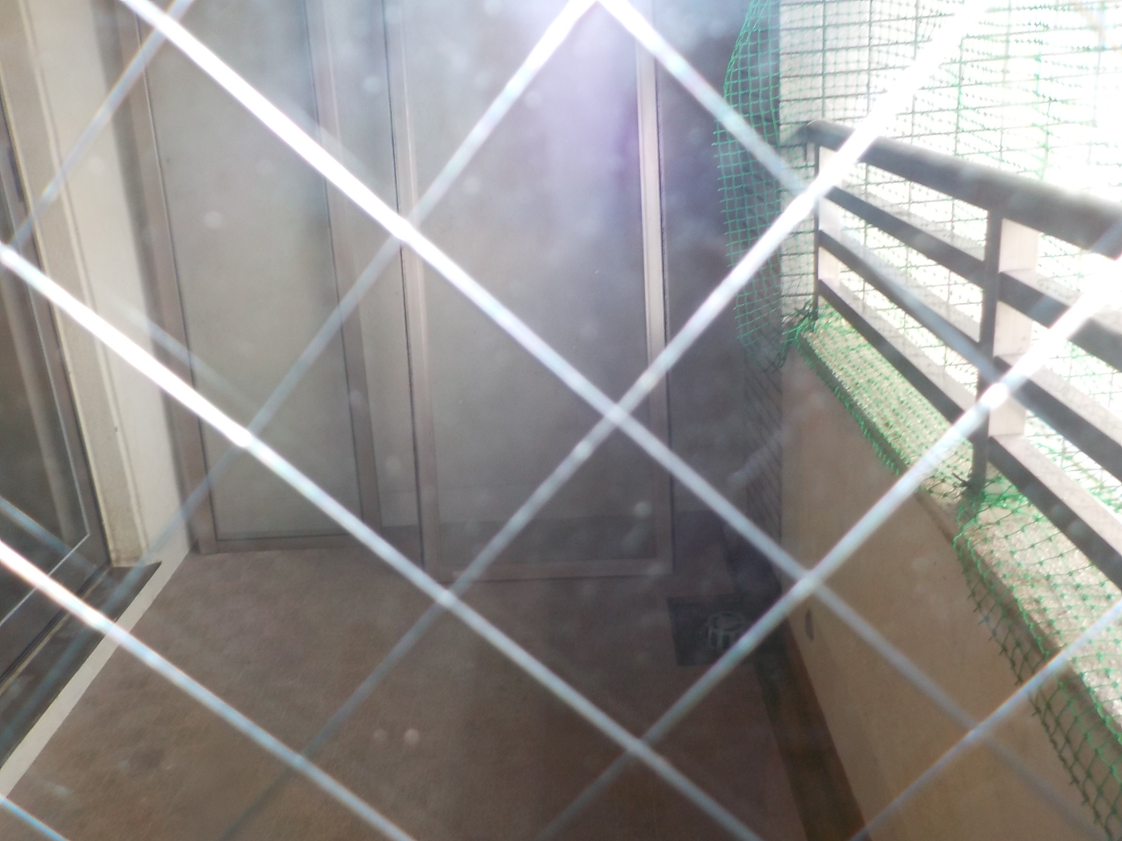 特殊清掃 鳩フン被害について ゴミ屋敷清掃 特殊清掃 こころテラス東海 愛知県 名古屋 三重県 岐阜県の東海エリア対応 特殊清掃 鳩フン被害について ゴミ屋敷清掃 特殊清掃 こころテラス東海 愛知県 名古屋 三重県 岐阜県の東海エリア対応