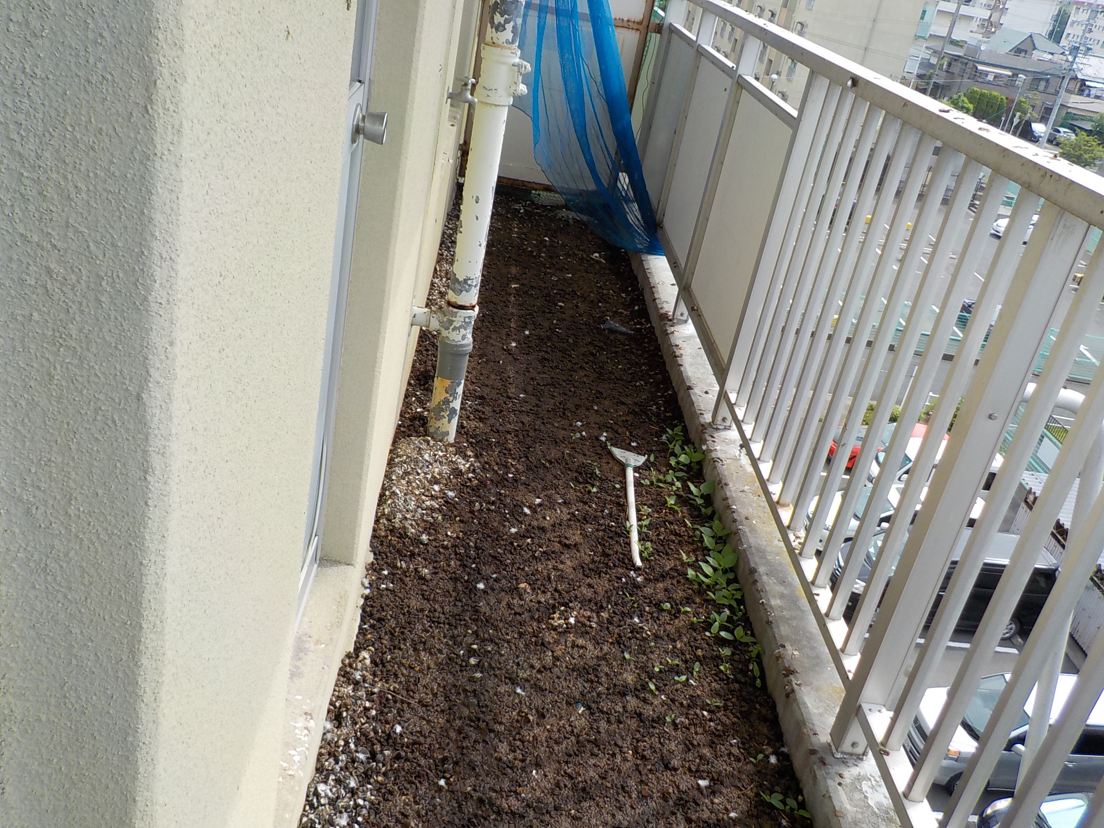 特殊清掃 鳩フン被害について ゴミ屋敷清掃 特殊清掃 こころテラス東海 愛知県 名古屋 三重県 岐阜県の東海エリア対応 特殊清掃 鳩フン被害について ゴミ屋敷清掃 特殊清掃 こころテラス東海 愛知県 名古屋 三重県 岐阜県の東海エリア対応