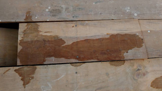箇所２の床材