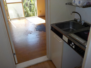 キッチンから部屋のアフター