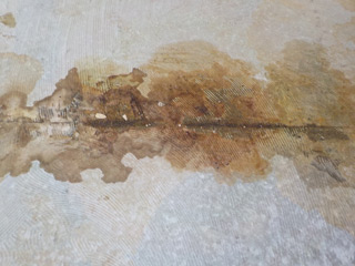 CF剥がし後の床の体液汚れと反応