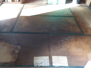 畳と床材を撤去した床下