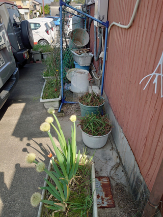 家の外のビフォア