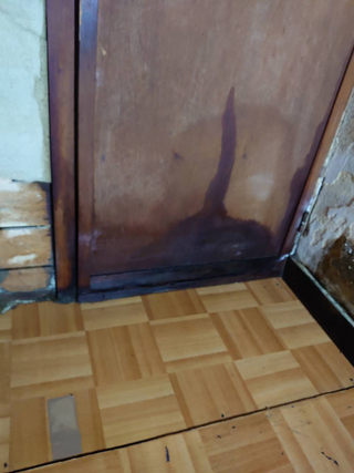 体液が染み込んだトイレのドア