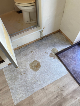 ＣＦ剥がし後の体液浸透