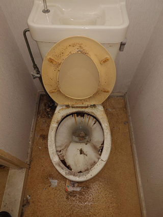 トイレのビフォア