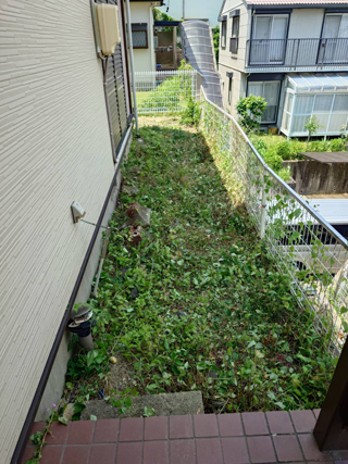 玄関西のアフター
