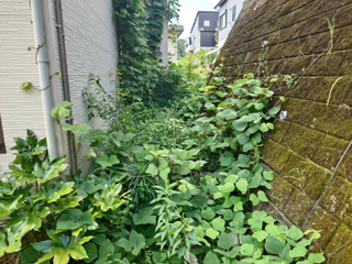 家の裏のビフォア