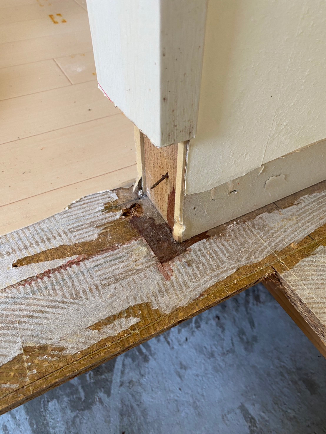 壁の体液浸透の柱撤去後
