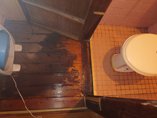 トイレ前床と床洗浄殺菌後