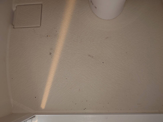 トイレの床の煤のビフォア
