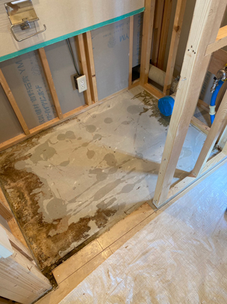 トイレの汚染除去後