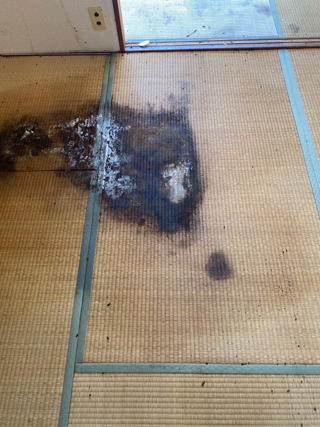 亡くなった箇所の畳撤去後