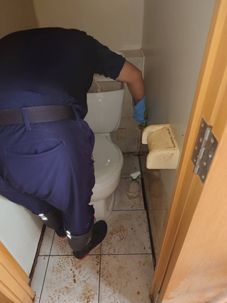 トイレの清掃風景