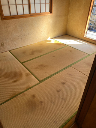 部屋４のアフター