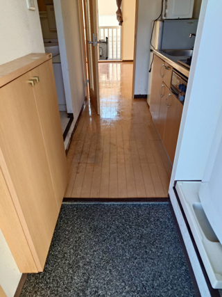 玄関のアフター(清掃後)