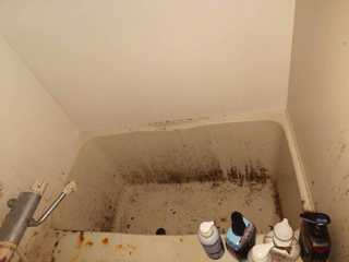 浴槽のビフォア