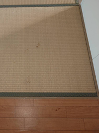 和室入り口のビフォア