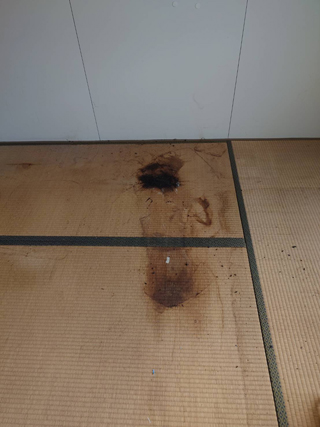 亡くなった箇所のビフォア