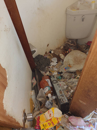 トイレビフォアのみ