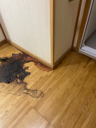 洗面中側と壁面写真、壁面巾木撤去後の体液汚染