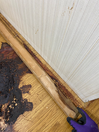 洗面中側と壁面写真、壁面巾木撤去後の体液汚染