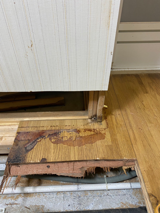 洗面所の浴室側の柱の体液汚染とその拡大写真