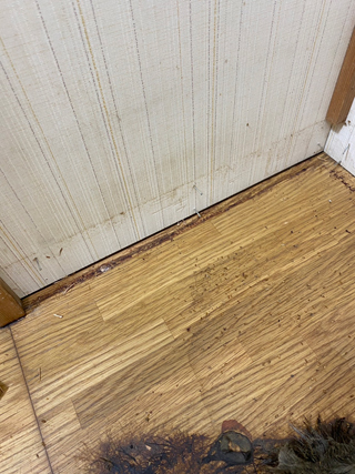 浴室側の壁面巾木撤去後の床汚染とその拡大写真