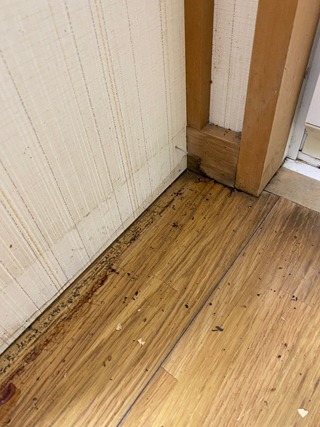 浴室側の壁面巾木撤去後の床汚染とその拡大写真