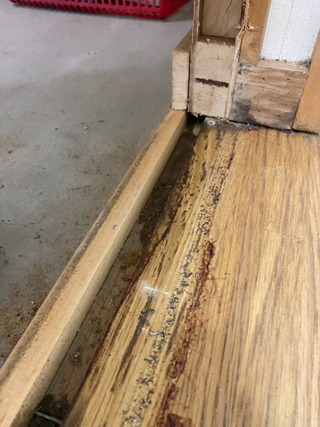 玄関と洗面の壁面の壁を取った後の床の汚染