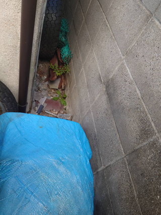 アパート外周のビフォア