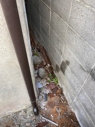 アパート外周のアフター