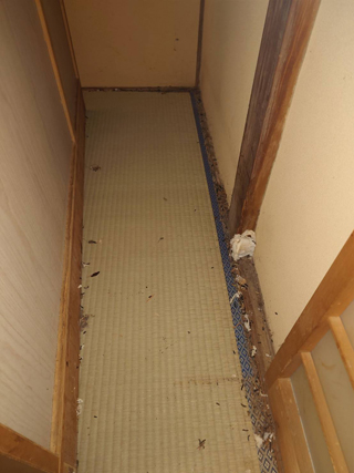 ネズミの巣があったタンスの裏