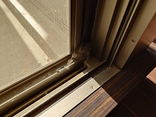 窓サッシのビフォア