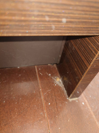 キッチン床のビフォア