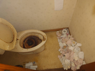 トイレのビフォア、撤去後