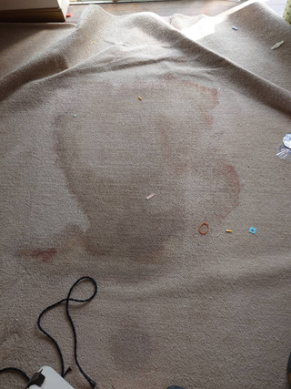 亡くなった場所のビフォア、撤去後、カーペット撤去後、アフター