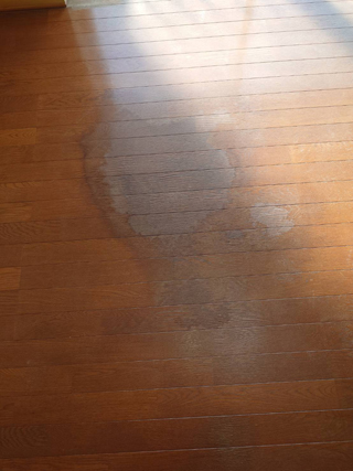 亡くなった場所のビフォア、撤去後、カーペット撤去後、アフター