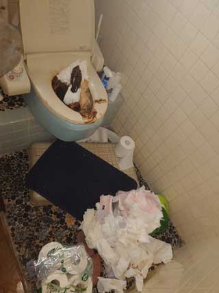 トイレのビフォア