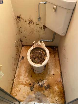 トイレの撤去後